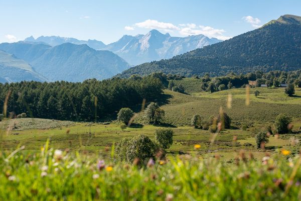 Camino Frances Highlights - 15 Days - Self Guided